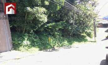 Imagem: Petrópolis - Terreno Padrão - Mosela