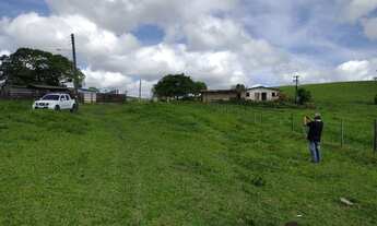 Imagem 3: Fazenda/Sítio/Chácara para venda possui 80 hectares, com 4 quartos em - Flexeiras - Alag