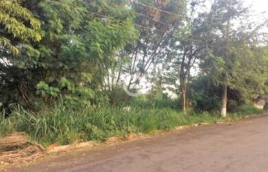 Imagem 6: Terreno - Loteamento Caminhos de São Conrado (Sousas) - Campinas