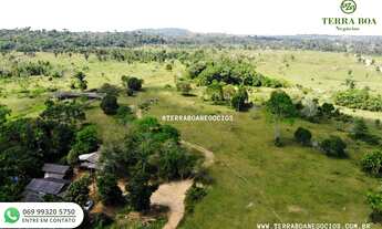 Imagem 6: FAZENDA 84 ALQUEIRES TODA FORMADA EM PASTA APÓS NOVA MUTUM/RONDÔNIA