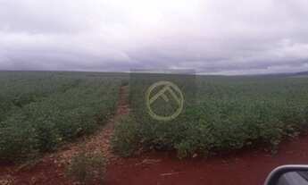 Imagem 2: Fazenda à venda, 3751000 m² - Centro - Cornélio Procópio/PR