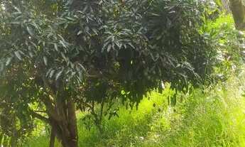 Imagem 3: BARãO DE COCAIS - Sítio - Zona Rural