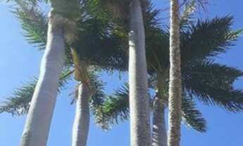 Imagem: Casa de campo Vale das Laranjeiras/Indaiatuba/SP