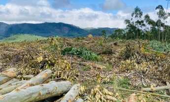 Imagem 6: Aqui está seu terreno do sonho!