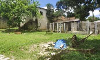 Imagem 4: Linda Chácara em Suzano