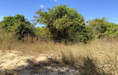 Imagem 4: Chácaras 20 mil Mt com rio das almas últimas unidades