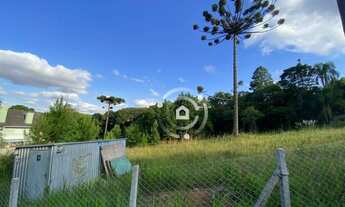 Imagem 3: Terreno ZR1 com 15m de frente em região de alto padrão