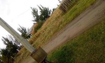 Imagem 4: Barbada vendo terreno quintao