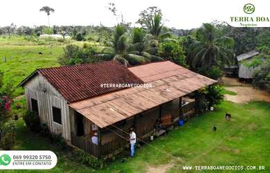 Imagem 2: FAZENDA 52,5 ALQUEIRES TODA FORMADA APÓS NOVA MUTUM/RONDÔNIA