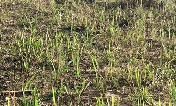 Imagem 4: TK Parcelamos o seu sonho em até 48 vezes!