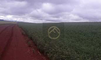 Imagem 4: Fazenda à venda, 3751000 m² - Centro - Cornélio Procópio/PR