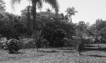 Imagem 3: R5-Imóvel para venda com 1000 metros quadrados em - Salesópolis - São Paulo