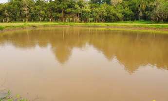 Imagem 2: Fazenda/Sítio/Chácara para venda tem 11000 metros quadrados em Lomba Grande - Novo Hamburg