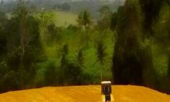 Imagem 4: Santo Antonio De Jesus - Terreno Padrão - BR 101