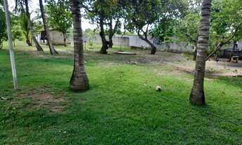 Imagem 2: Fazenda/Sítio/Chácara para aluguel possui 15000 metros quadrados com 8 quartos