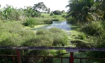 Imagem 2: Granja com 15 hectares na região de vera cruz estruturada