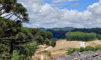 Imagem 6: CAXIAS DO SUL - Terreno Padrão - Desvio Rizzo