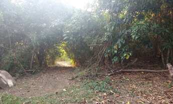 Imagem 4: Chácara Chácara com venda por R$160.000