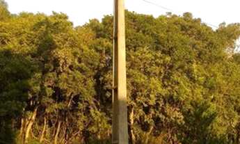 Imagem 5: TERRENO COM GALPÃO À VENDA - TOMAZ COELHO - ARAUCÁRIA