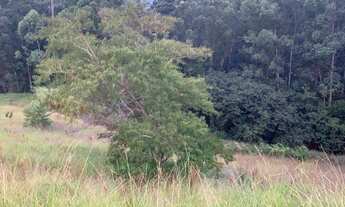 Imagem 6: Lote/Terreno para venda possui 1000 metros quadrados em Parque das Laranjeiras - Itatiba