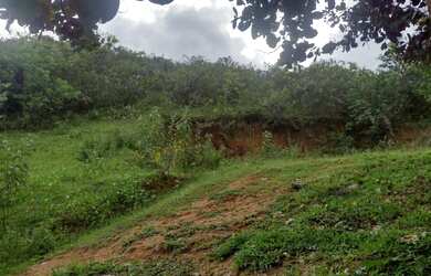 Imagem 3: Aluga-se terreno de 4.840 metros, no Eng. Cachoeira no município de Ipojuca!