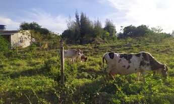 Imagem 4: Excelente sítio em Iguaba Grande R$220.000