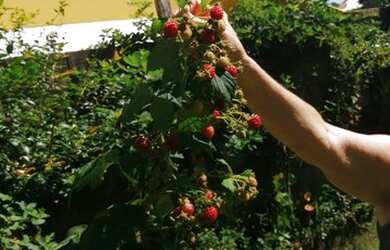 Imagem 6: Casa para venda possui 220 metros quadrados com 3 quartos