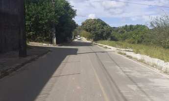 Imagem 2: VENDO LOTE 500M2 Px a Cascalheira ESCRITURADO