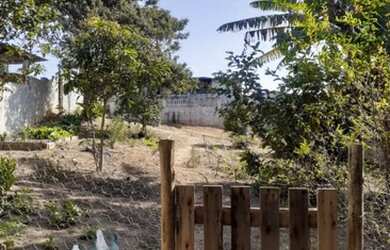 Imagem 5: Chácara a venda