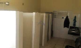 Imagem 7: Galpão - Chácaras São Francisco do Aeroporto - Campinas