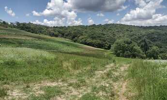 Imagem: O/26 Garanta sua Visita e confira os lotes