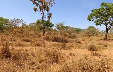Imagem 5: Terrenos em Jequitibá. Financiamento próprio. Adquira sua fazendinha