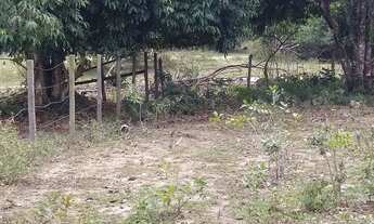 Imagem 6: Excelente sítio em Iguaba Grande R$220.000