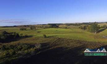 Imagem 5: Sítio 4 hectares com açude em Águas claras, oportunidade!