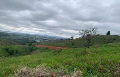Imagem 6: G03-Vendo Terreno com ótima topografia