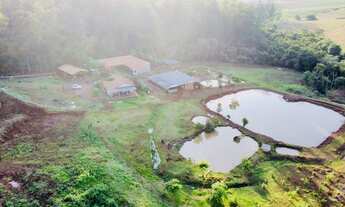 Imagem 2: CHACARA REDEA CURTA ENG BELTRAO - PR 3 ALQUEIRES