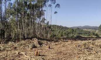 Imagem 7: Chácara para venda com 2,500!metros quadrados com 3 quartos em centro - Salesópolis - São