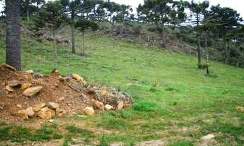 Imagem 6: Fazenda/Sítio/Chácara para venda com 360000 metros quadrados com 5 quartos em Centro - Uru