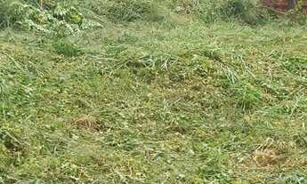 Imagem 6: Terreno área central de Cuiabá MT