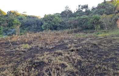 Imagem 4: Sítio medindo 50 de frente por 60 de fundo