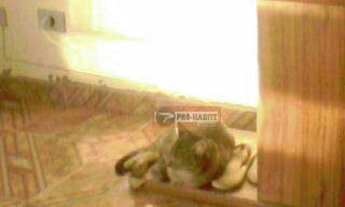 Imagem 6: Apartamento - Conjunto Habitacional Sitio Conceição - Unidade Tiradentes