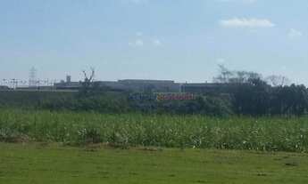 Imagem 4: Área Industrial para Venda em Porto Feliz, Avecuia