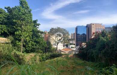 Imagem 3: Terreno - Nova Campinas - Campinas