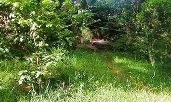 Imagem 2: BARãO DE COCAIS - Sítio - Zona Rural