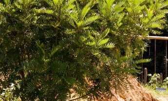 Imagem 3: Passo o Ponto de Tradicional Restaurante em Juiz de Fora