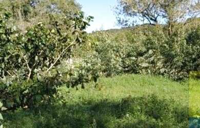 Imagem 3: Excelente Área de frente para BR 101 em Penha