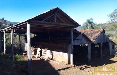 Imagem 7: Sítio / Chácara para Venda em São Francisco de Paula, Boa Vista, 3 dormitórios, 2 banheiro