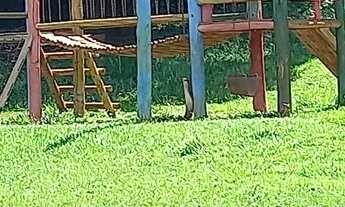 Imagem: ALUGA-SE AP MORADA DO BOSQUE