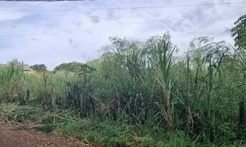 Imagem 4: Chácara à venda, Indústrias Leves, Londrina, PR