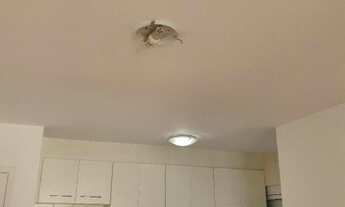 Imagem 2: Apartamento para Locação em São Paulo, Consolação, 2 dormitórios, 1 suíte, 2 banheiros, 1